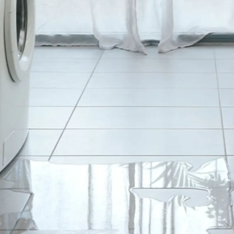 Appliance Leak Cleanup in Red Bay, AL