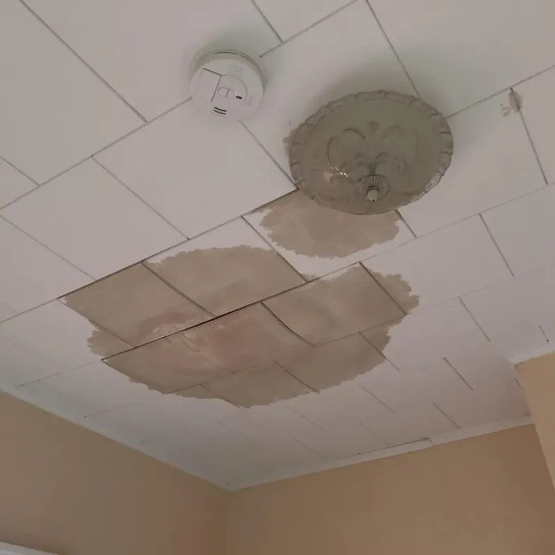 Ceiling Water Damage Repair in Red Bay, AL