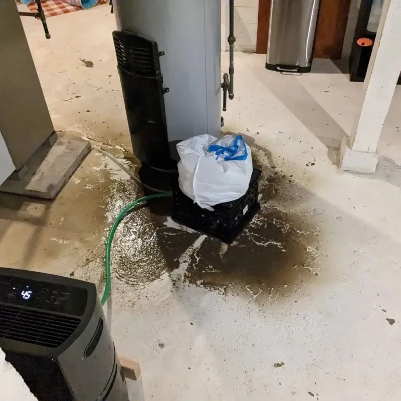 Sewage Backup Cleanup Service in Red Bay, AL